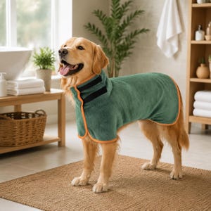 May include: A golden retriever wearing a dark green, plush, absorbent dog bathrobe with orange trim and black hook-and-loop fasteners at the neck. The garment covers the back and chest area, featuring a high collar design for drying.