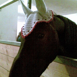 HORSE bonnet SET of 2 patterns .PDF for Fly Bonnet/ Horse Fly mask / Horse ear net / Horse hat,horze