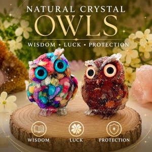 May include: Two owl figurines on a wooden slice. The left owl is multicoloured with bright blue eyes. The right owl is dark red with light-coloured eyes. Text reads: NATURAL CRYSTAL OWLS, WISDOM, LUCK, PROTECTION, WISDOM, LUCK, PROTECTION.