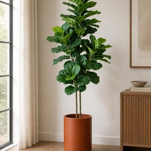 Puede incluir: Una alta higuera de hoja de violín artificial en una maceta cilíndrica de color terracota. La planta tiene hojas grandes y verdes vibrantes y se coloca en una habitación bien iluminada con una ventana y una decoración de tonos neutros.
