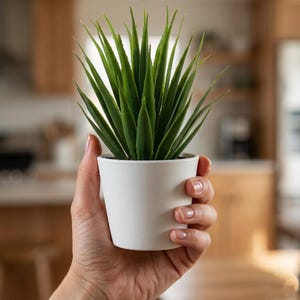 Peut inclure: Un petit pot en céramique blanc rempli d'une plante artificielle verte et épineuse. La plante a de longues feuilles fines. Le pot est tenu dans une main, avec un arrière-plan de cuisine flou.