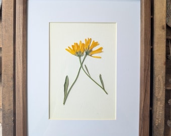 Flores prensadas enmarcadas