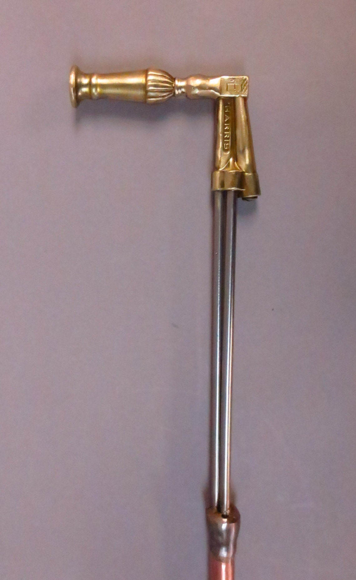 Torch Cane Walking Stick Etsy