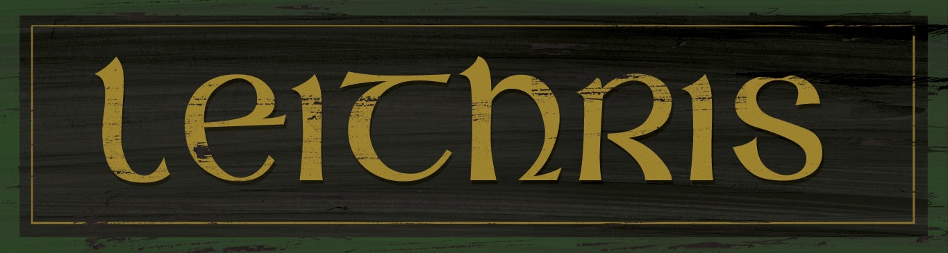Leithris, Irish Toilet, Irish wood rustic Sign, Gaelic Bath sign 4x14