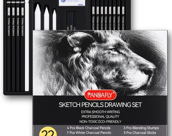 PANDAFLY 22 Piece Professional Sketching Pencil Set