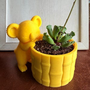 May include: A bright yellow planter shaped like a bamboo stalk with a koala figure attached to the side. The planter contains dark potting soil and a small green succulent plant with ruffled leaves and a single thin stem extending upward.