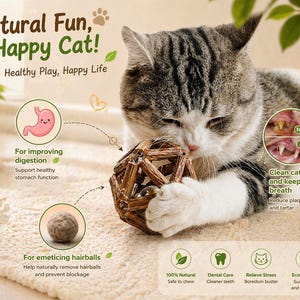 May include: A gray and white cat plays with a wooden ball. The image includes text that reads "Natural Fun, Happy Cat! Healthy Play, Happy Life." Additional text highlights benefits like dental care and stress relief.