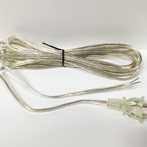 May include: A silver-colored speaker wire with a clear plug. The wire is coiled and the plug is visible.
