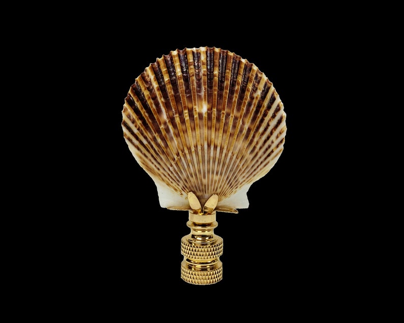Lamp Finialsea SCALLOP SHELL W/polished or Antique Brass Etsy