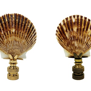 May include: Two gold lamp finials with a seashell design. The seashells are brown and white with a textured pattern.