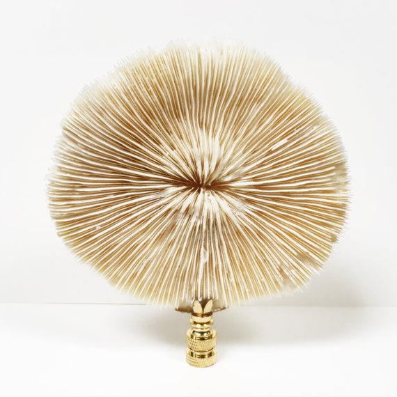 Lamp Finial-SOLID BEECH WOOD BALL-LARGE-W//Dual Thread Base-Polished Brass