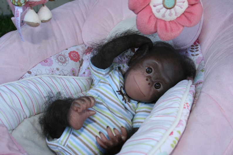 reborn chimpanzee