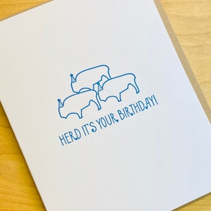 Herde, es ist Ihre Geburtstagskarte, Büffel Geburtstag, lustiger Geburtstag, Punny Geburtstag, Letterpress Briefpapier