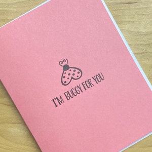 Carte anniversaire ou amitié Buggy For You coccinelle
