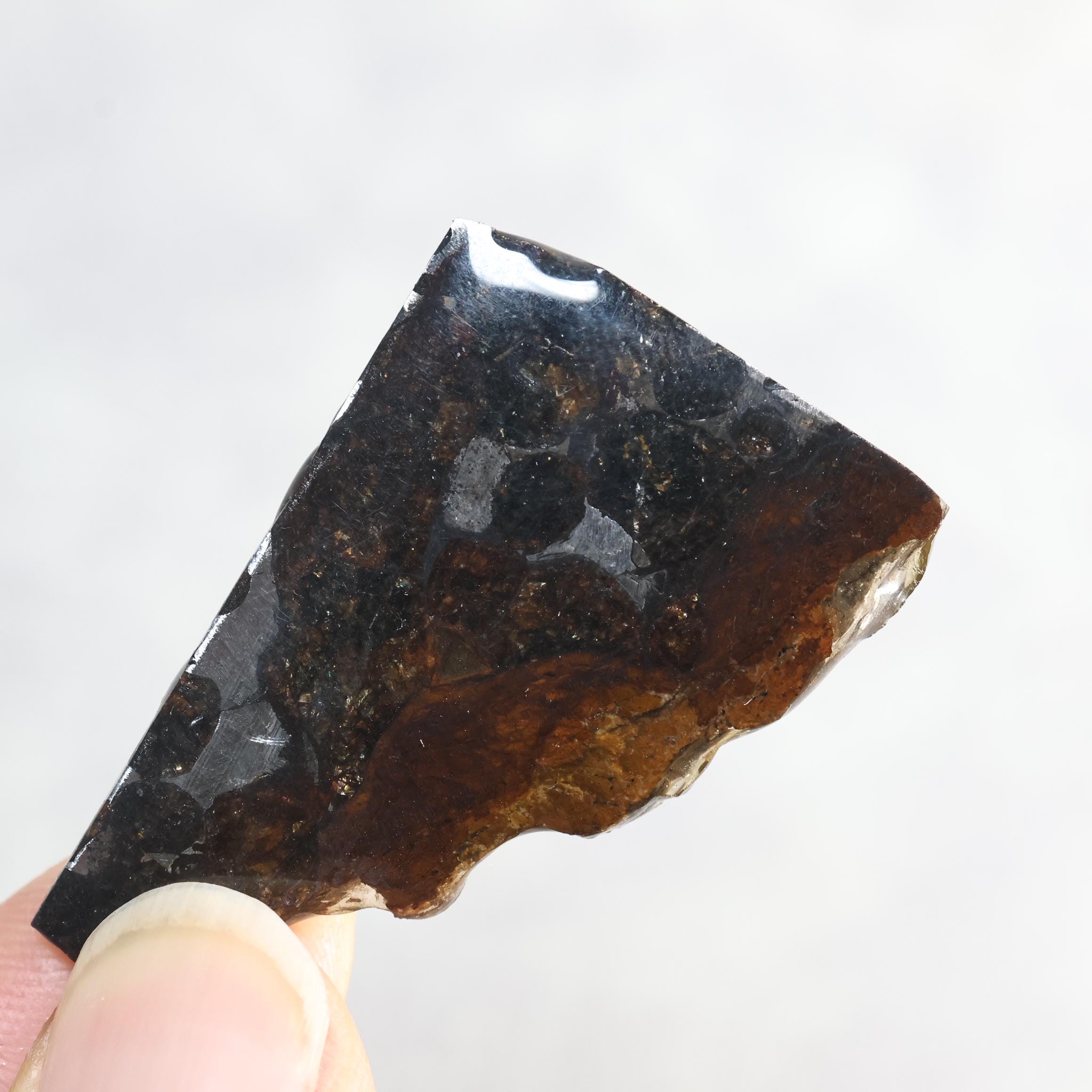 Seymchan meteorite - Etsy 日本