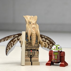 May include: A tan plastic minifigure with a large head featuring long, hanging appendages, large wings with brown and tan patterns, and a tan staff. Beside it stands a small, cylindrical droid with a white top, green accents, and a dark red base.