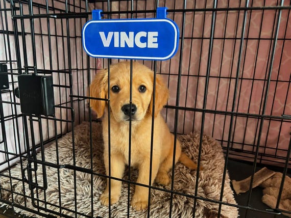 Custom Dog Crate Name Sign – Personalized Pet Kennel Tag – Clip-On Plate