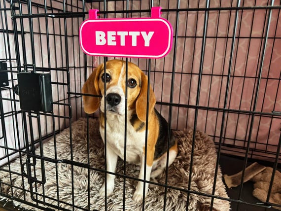 Custom Dog Crate Name Sign – Personalized Pet Kennel Tag – Clip-On Plate, shown in an additional close-up listing view with visible shape and details.