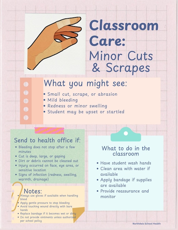 Care in the Classroom, School Nurse Printable Bundle, Teacher Health Condition Posters, Classroom Medical Reference, Digital Download