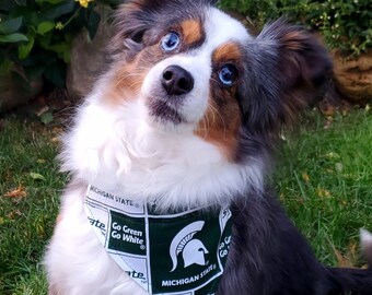 msu dog sweater