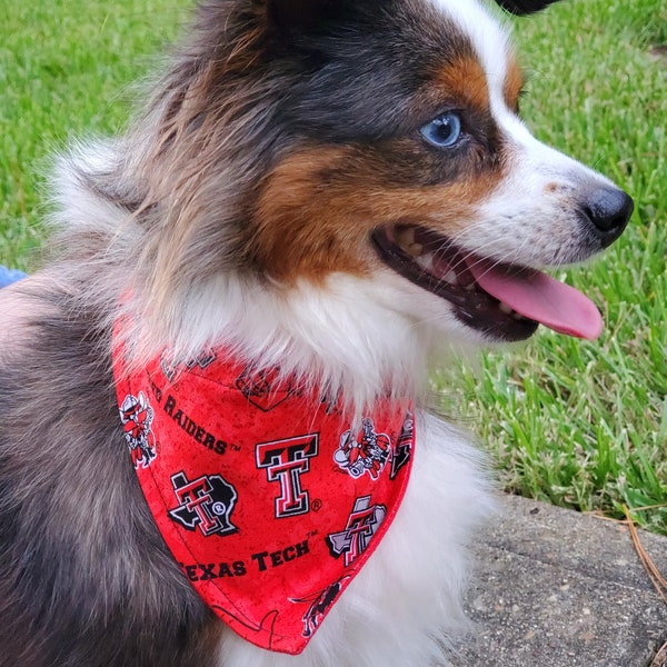 Texas Tech Red Raiders  Dog Bandana, over the collar, HandMade in Texas, Same Day Shipping, 4 sizes, matching masks available