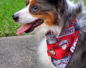 osu dog bandana