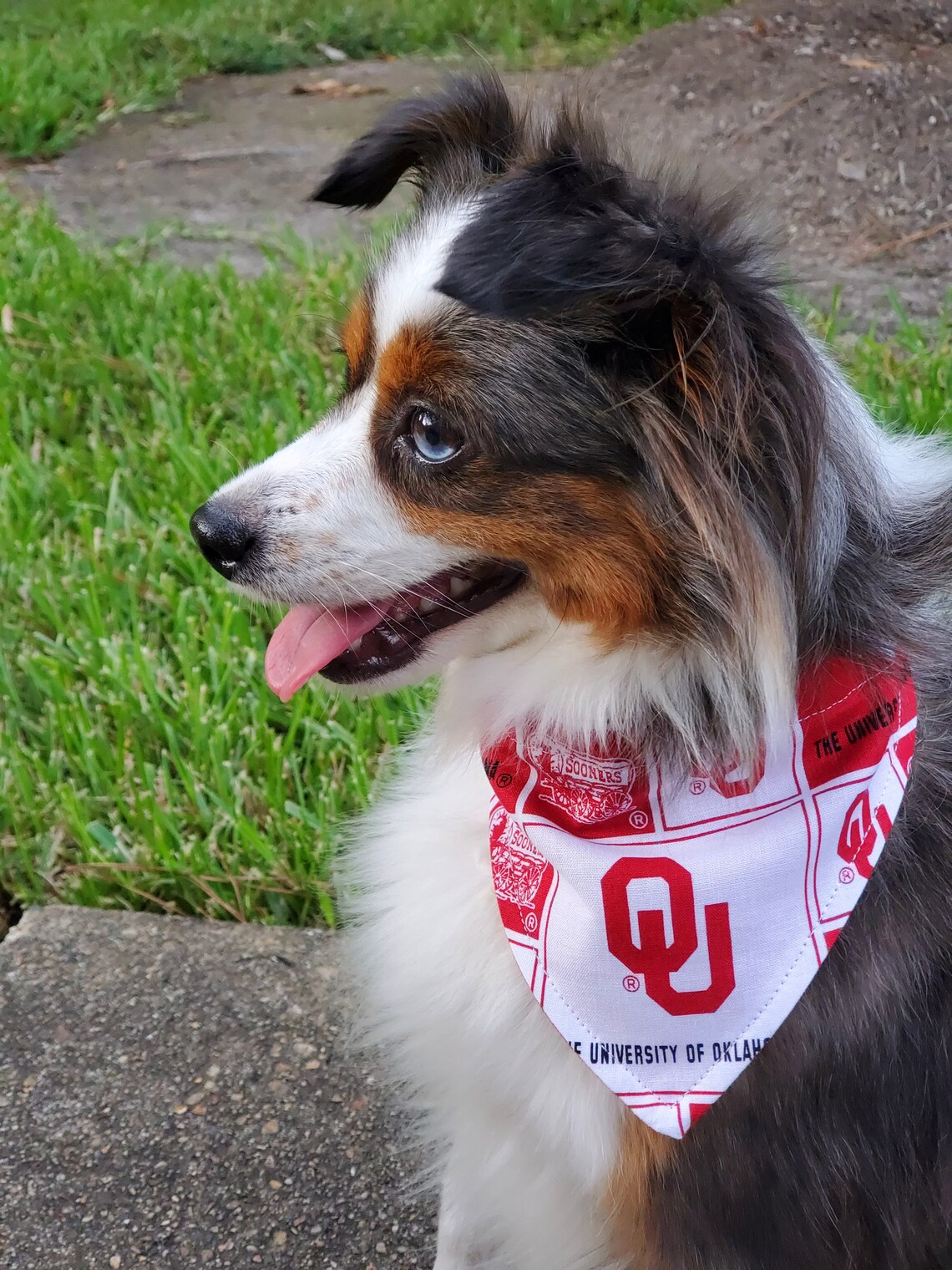 OU Sooners Dog Bandana Oklahoma over the collar HandMade in Etsy