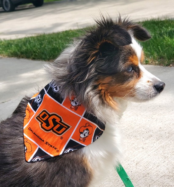 Oklahoma State University Dog Bandana Pistol Pete OSU Over - Etsy