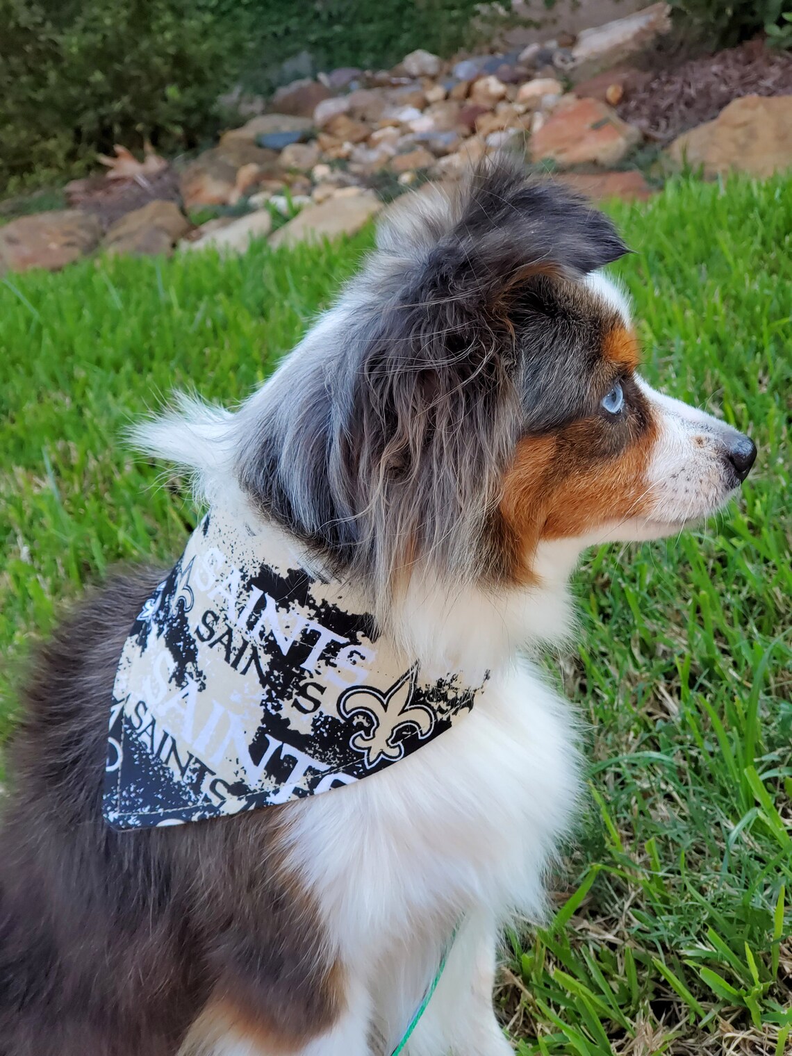 Saints New Orleans Dog Bandana Who Dat Over the Collar 2 Etsy