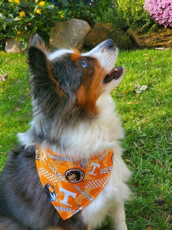 University of Tennessee Volunteers Dog Bandana Over the - Etsy