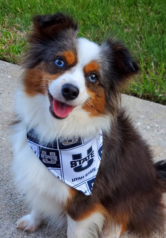 Utah State University Dog Bandana USU Aggies Over the Etsy New Zealand