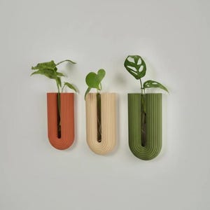Pode incluir: Três vasos de parede em terracota, bege e verde-oliva. Cada vaso em forma de U contém uma pequena planta com folhas verdes. Os vasos têm uma textura canelada e são montados em uma parede branca.