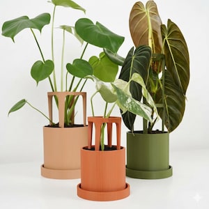 Può includere: Tre piante in vaso con grandi foglie verdi. Le piante sono in vasi cilindrici con sottovasi abbinati. I vasi sono nelle tonalità pesca, arancione e verde. Ogni vaso ha una struttura decorativa di supporto per piante.