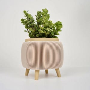 May include: A decorative planter with a light beige rim and a pleated, light pink body. The planter has three short, light beige legs. The planter holds a vibrant green plant with small leaves. The overall design is modern and minimalist.