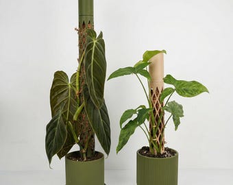 Vaso con Palo Moss Pole Estensibile per Piante Rampicanti – Sostegno Design per Monstera e Philodendron - Vaso interno - arredamento
