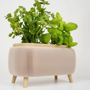 Könnte beinhalten: Ein hellrosa, gerippter Pflanztopf mit vier Holzbeinen, der frische grüne Kräuter enthält. Der Pflanztopf hat eine hellbeige Oberseite und ist mit Koriander und Basilikum gefüllt. Das Design ist modern und für den Innen- und Außenbereich geeignet.