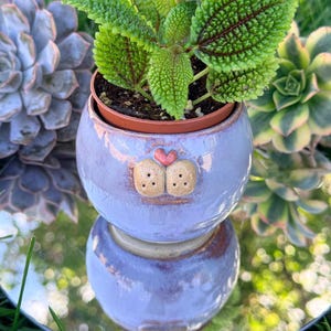 May include: A round, light purple ceramic planter with a glossy finish, featuring a small, raised, tan-coloured animal-like nose and a tiny red heart detail on the front. The planter holds a green, textured-leaf plant in a brown plastic pot.