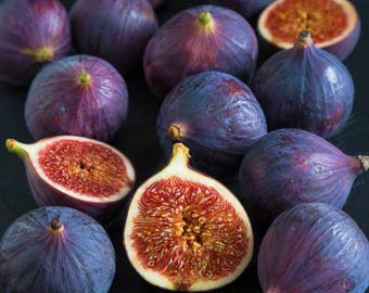 Hardy Chicago Fig Trees – 2 Live Rooted Fig Plants in Quart Pots