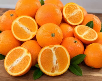 Live Washington Navel Orange Tree – Grafted Citrus Plant, Half Gallon Pot.No shipping to ca, az, ak, tx, hi, la, pr, and USVI