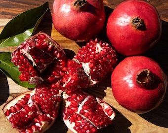 Large Wonderful Pomegranate Tree – Free Shipping Live Fruit Plant