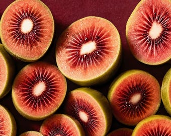 Ken’s Red Hardy Kiwi Plant 1–2 ft Live Vine | Cold Hardy Fruit Kiwi Tree in 6 Inch Pot | Garden Fruit Plant