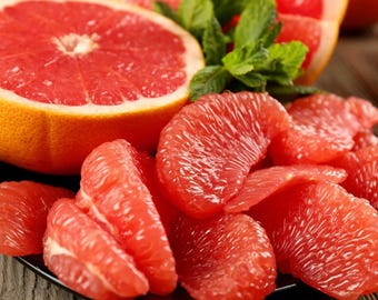 Grafted Rio Red Grapefruit Tree Sweet Seedless Citrus, Live Fruit Tree for Garden