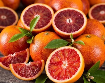 Dwarf Blood Orange Tree Tarocco – Live Citrus Tree in 1 Gallon Pot, Sweet Red Flesh Orange Plant, No Ship to CA
