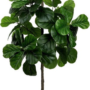 May include: A tall artificial Fiddle Leaf Fig tree with large, vibrant green leaves. The tree has a brown trunk and is potted in a white, ribbed planter. A decorative accent for home or office.