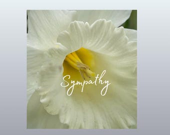 Biglietto di condoglianze con fiori bianchi stampabile / Elegante biglietto di auguri di condoglianze / Biglietto di condoglianze con fiori di narciso / Download immediato in PDF e JPG