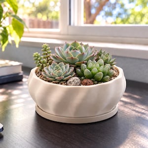 Peut inclure: Un pot de fleurs rond blanc cassé avec une texture extérieure ondulée et nervurée, accompagné d'une soucoupe circulaire assortie. Le pot contient diverses plantes succulentes vertes, dont des variétés en rosette et des tiges perlées, sur du gravier.