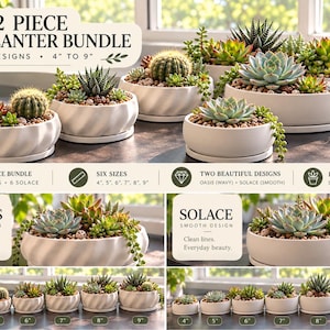 Könnte beinhalten: Ein 12-teiliges Pflanzgefäß-Set mit zwei Designs, Oasis und Solace, in Größen von 4 bis 9 Zoll. Die weißen Keramik-Pflanzgefäße sind rund und haben entweder gewellte oder glatte Seiten, wobei jedes verschiedene Sukkulenten und Kakteen enthält.