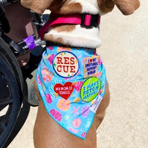 Puede incluir: Un perro con un pa&ntilde;uelo azul con un estampado de conchas marinas y parches que dicen "Rescue", "I Love My Emotional Support Human", "I Make Fetch Happen" y "My Mom is Single". El perro tambi&eacute;n lleva un arn&eacute;s rosa.