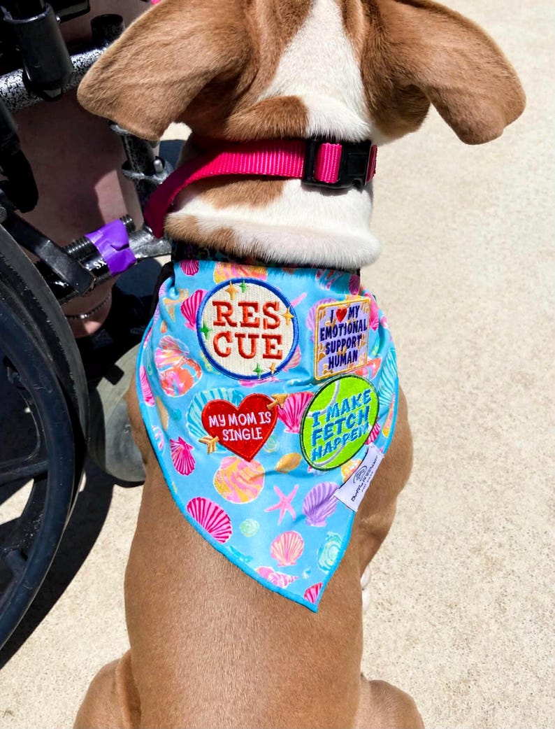 Puede incluir: Un perro con un pa&ntilde;uelo azul con un estampado de conchas marinas y parches que dicen "Rescue", "I Love My Emotional Support Human", "I Make Fetch Happen" y "My Mom is Single". El perro tambi&eacute;n lleva un arn&eacute;s rosa.