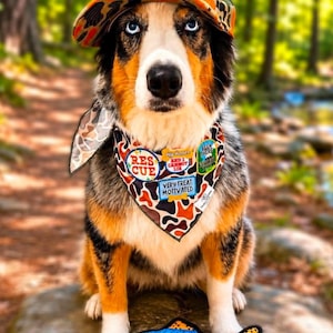 Puede incluir: Un perro tricolor con ojos azules lleva un sombrero y una bandana de camuflaje. La bandana tiene parches con texto como "Rescue" y "Very Treat Motivated". Un juguete de pez de peluche est&aacute; frente al perro.
